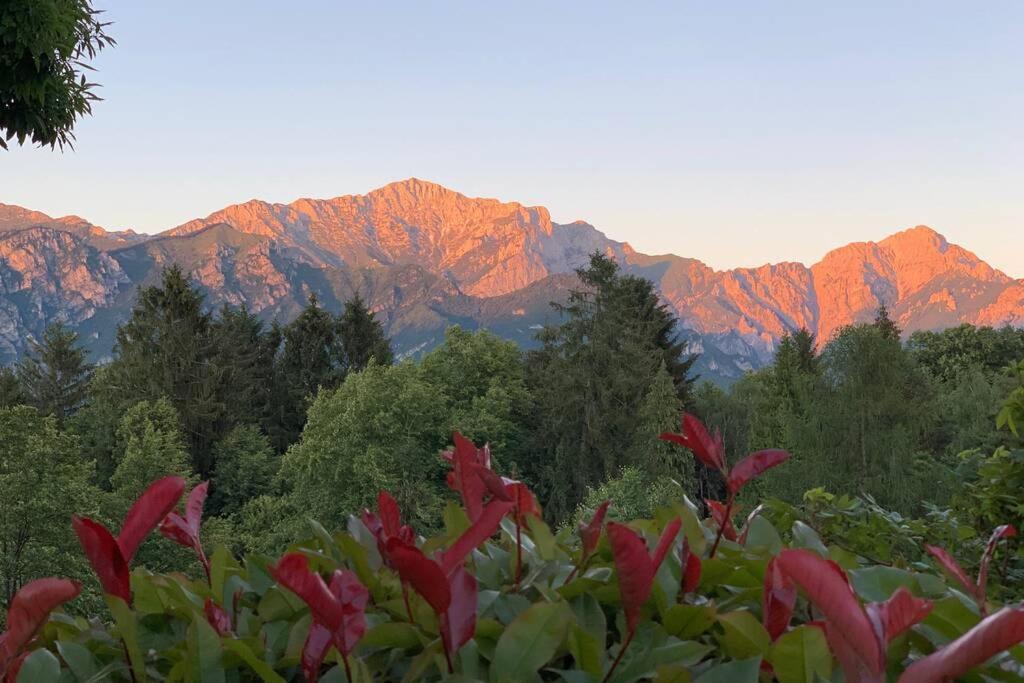 Traditional Villa Bellagio San Primo Lake Como 외부 사진